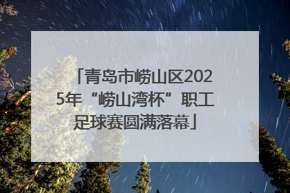 青岛市崂山区2025年“崂山湾杯”职工足球赛圆满落幕