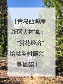 青岛西海岸新区大村镇：“赏花经济”绘就乡村振兴新图景