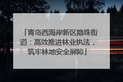 青岛西海岸新区隐珠街道：高效推进林业执法，筑牢林地安全屏障