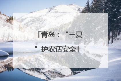 青岛：“三夏”护农话安全
