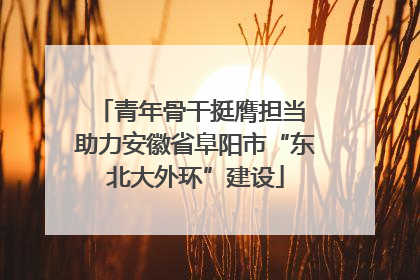 青年骨干挺膺担当 助力安徽省阜阳市“东北大外环”建设
