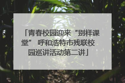 青春校园迎来“别样课堂” 呼和浩特市残联校园巡讲活动第二讲