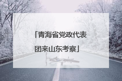 青海省党政代表团来山东考察