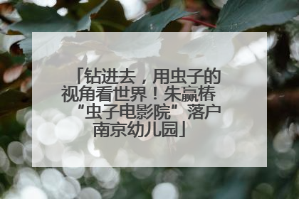 钻进去，用虫子的视角看世界！朱赢椿“虫子电影院”落户南京幼儿园