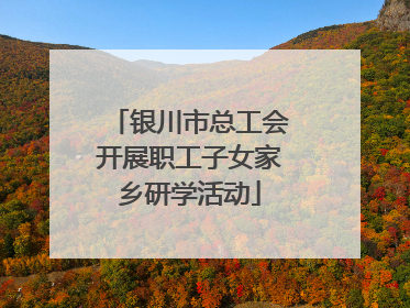 银川市总工会开展职工子女家乡研学活动