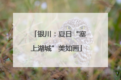 银川：夏日“塞上湖城”美如画