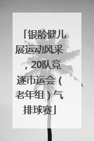 银龄健儿展运动风采，20队竞逐市运会（老年组）气排球赛