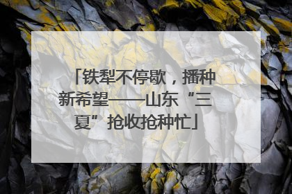 铁犁不停歇，播种新希望——山东“三夏”抢收抢种忙