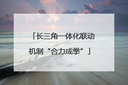 长三角一体化联动机制“合力成拳”