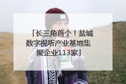 长三角首个！盐城数字视听产业基地集聚企业113家