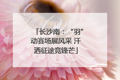 长沙南：“羽”动赛场展风采 汗洒征途竞锋芒