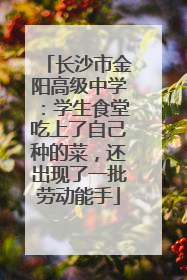 长沙市金阳高级中学：学生食堂吃上了自己种的菜，还出现了一批劳动能手