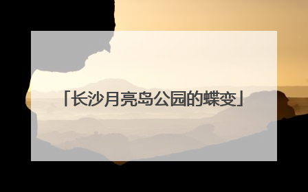长沙月亮岛公园的蝶变