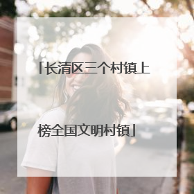 长清区三个村镇上榜全国文明村镇