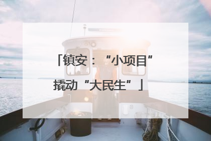 镇安：“小项目”撬动“大民生”