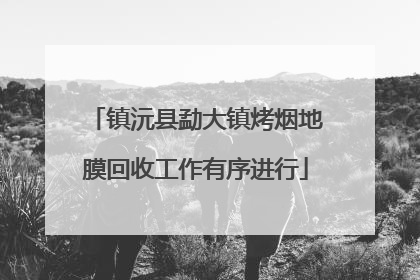 镇沅县勐大镇烤烟地膜回收工作有序进行