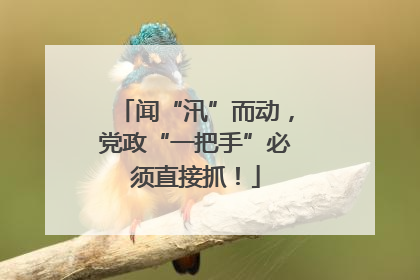 闻“汛”而动，党政“一把手”必须直接抓！