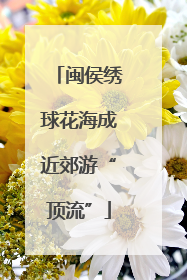 闽侯绣球花海成近郊游“顶流”