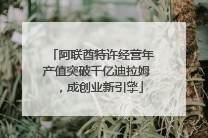 阿联酋特许经营年产值突破千亿迪拉姆，成创业新引擎