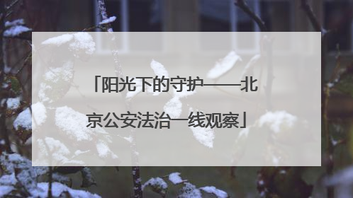 阳光下的守护——北京公安法治一线观察