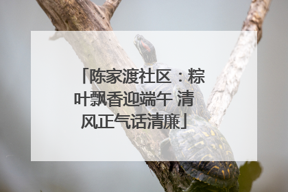 陈家渡社区：粽叶飘香迎端午 清风正气话清廉