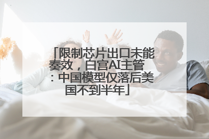 限制芯片出口未能奏效，白宫AI主管：中国模型仅落后美国不到半年