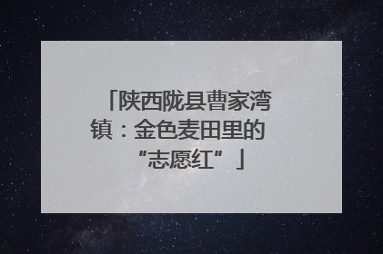 陕西陇县曹家湾镇：金色麦田里的“志愿红”