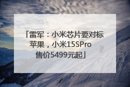 雷军：小米芯片要对标苹果，小米15SPro售价5499元起