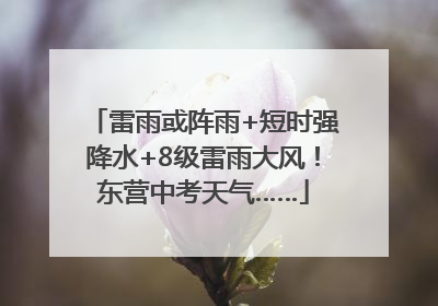 雷雨或阵雨+短时强降水+8级雷雨大风！东营中考天气……