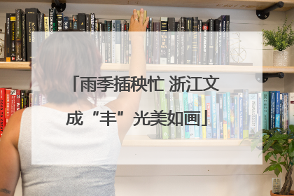 雨季插秧忙 浙江文成“丰”光美如画