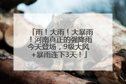 雨！大雨！大暴雨！河南真正的强降雨今天登场，9级大风+暴雨连下3天！