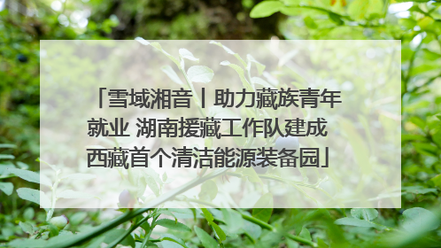 雪域湘音丨助力藏族青年就业 湖南援藏工作队建成西藏首个清洁能源装备园