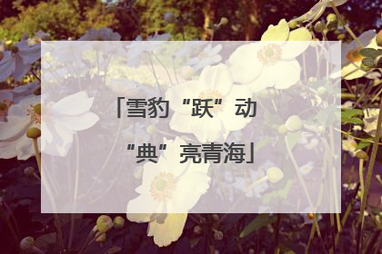 雪豹“跃”动 “典”亮青海