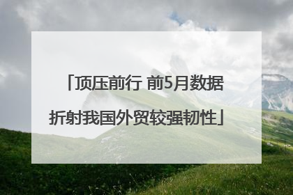 顶压前行 前5月数据折射我国外贸较强韧性