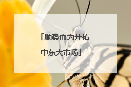 顺势而为开拓中东大市场