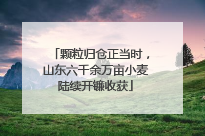 颗粒归仓正当时，山东六千余万亩小麦陆续开镰收获