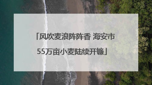 风吹麦浪阵阵香 海安市55万亩小麦陆续开镰