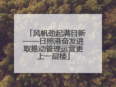 风帆劲起满目新——日照港奋发进取推动管理运营更上一层楼