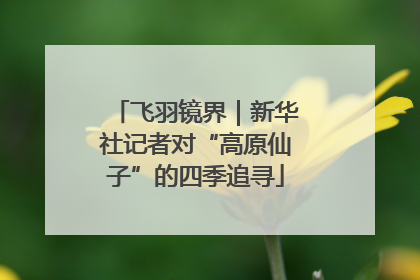 飞羽镜界｜新华社记者对“高原仙子”的四季追寻