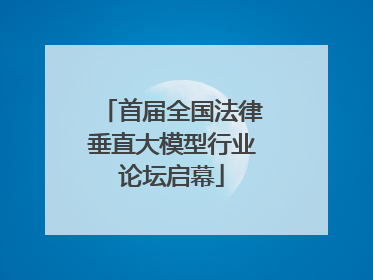首届全国法律垂直大模型行业论坛启幕