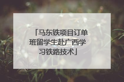 马东铁项目订单班留学生赴广西学习铁路技术