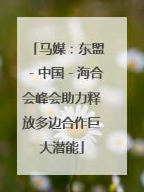 马媒：东盟－中国－海合会峰会助力释放多边合作巨大潜能