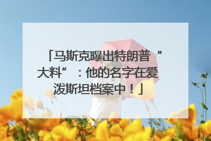 马斯克曝出特朗普“大料”：他的名字在爱泼斯坦档案中！
