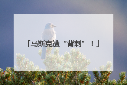 马斯克遭“背刺”！