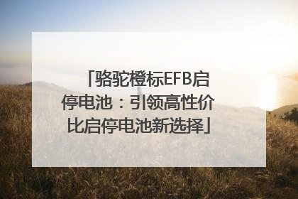 骆驼橙标EFB启停电池：引领高性价比启停电池新选择