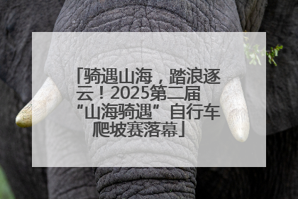 骑遇山海，踏浪逐云！2025第二届“山海骑遇”自行车爬坡赛落幕