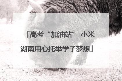 高考“加油站” 小米湖南用心托举学子梦想