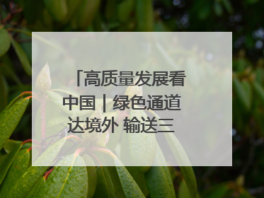高质量发展看中国｜绿色通道达境外 输送三江“一口鲜”