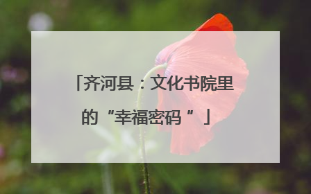 齐河县：文化书院里的“幸福密码 ”