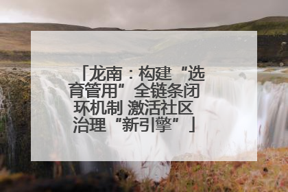 龙南：构建“选育管用”全链条闭环机制 激活社区治理“新引擎”
